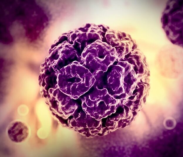 Mô hình 3D của HPV (virus gây u nhú ở người)