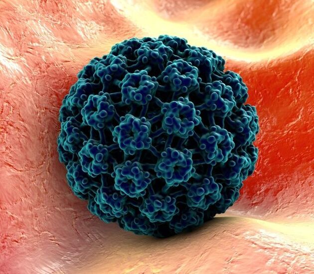 Mô hình 3D virus HPV gây mụn cóc ở tay